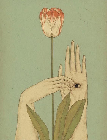 The Alchemy of Sceletium