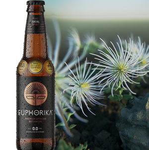 Euphorika Beverage 340 ml glass bottle (x24)