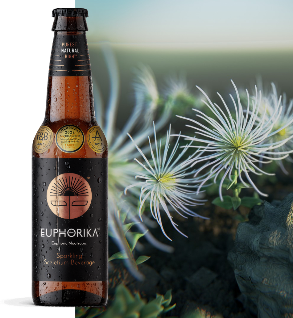 Euphorika Beverage 340 ml glass bottle (x24)