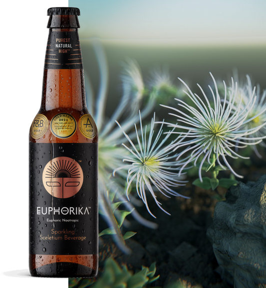 Euphorika Beverage 340 ml glass bottle (x24)